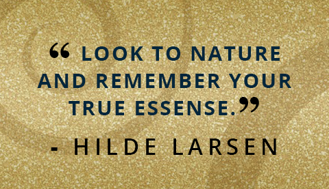 http://inspiredbyhilde.com/wp-content/uploads/2015/08/hl_goldbar_mobile_empowered.jpg