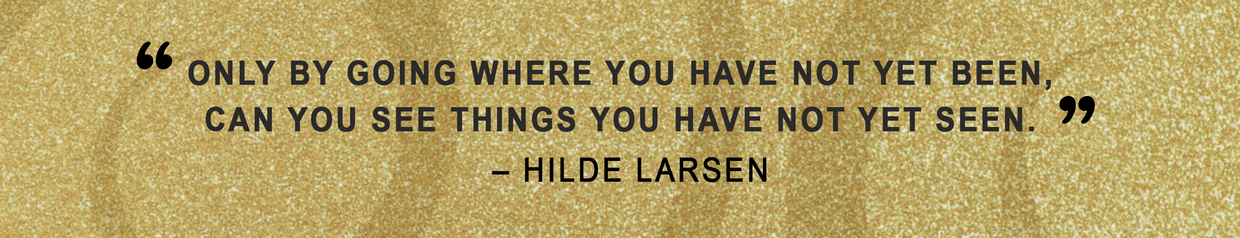 hilde larsen health and wellness coaching