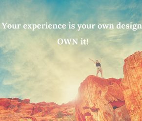 Your Experience