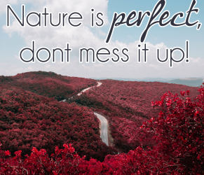 natures perfect dont mess it up