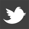 SOCIALICON