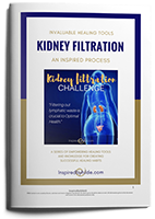 Kidney Filtration